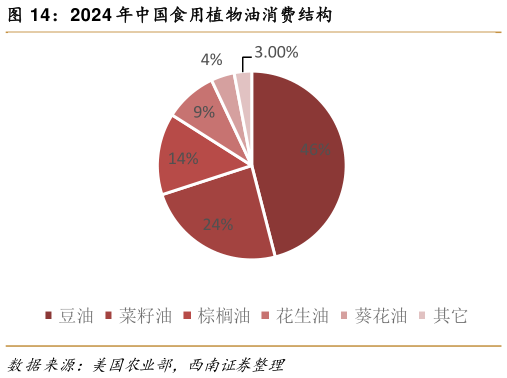 怎样理解2024 年中国食用植物油消费结构?