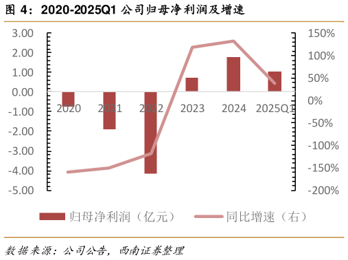 各位网友请教一下2020-2025Q1 公司归母净利润及增速?