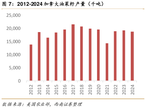 想关注一下2012-2024 加拿大油菜籽产量(千吨)?