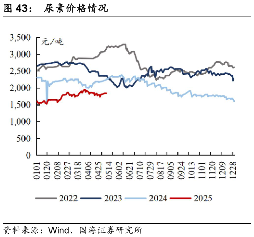 怎样理解尿素价格情况