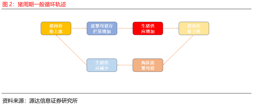 我想了解一下猪周期一般循环轨迹?