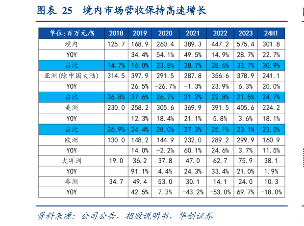 谁能回答境内市场营收保持高速增长?