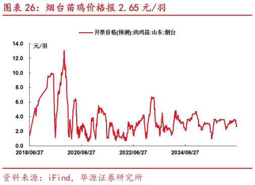 如何了解烟台苗鸡价格报 2.65 元羽