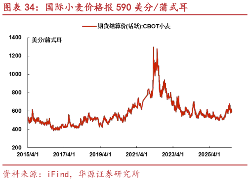 请问一下国际小麦价格报 590 美分蒲式耳