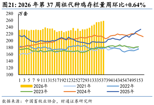 如何才能2026 年第 37 周祖代种鸡存栏量周环比0.64%