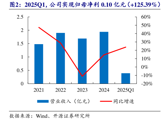 如何看待2025Q1，公司实现归母净利 0.10 亿元（125.39%）?
