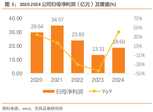 各位网友请教一下2020-2024 公司归母净利润（亿元）及增速%?