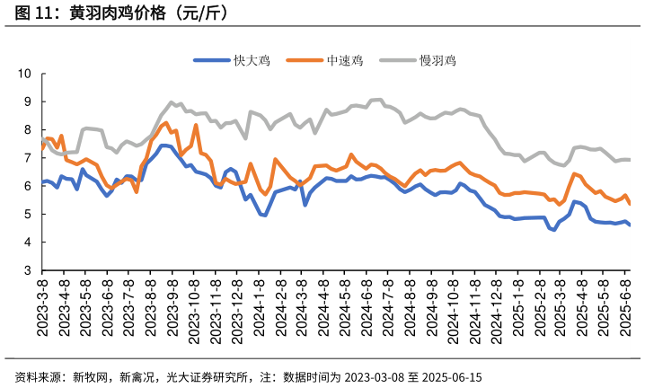 请问一下黄羽肉鸡价格（元斤）
