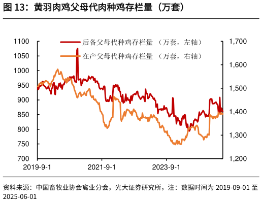 如何解释黄羽肉鸡父母代肉种鸡存栏量（万套）