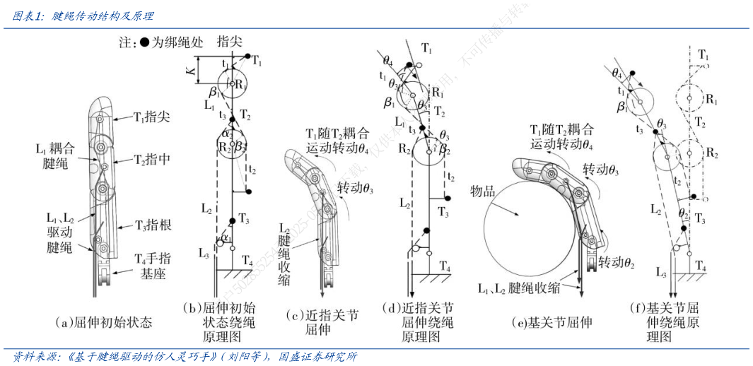 如何解释腱绳传动结构及原理