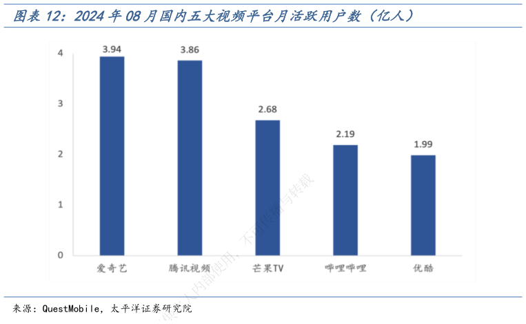 如何解释2024年08月国内五大视频平台月活跃用户数(亿人)?
