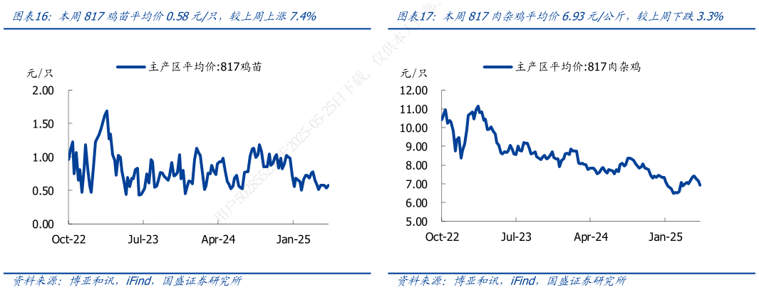 如何解释本周817鸡苗平均价0.58元只，较上周上涨7.4%