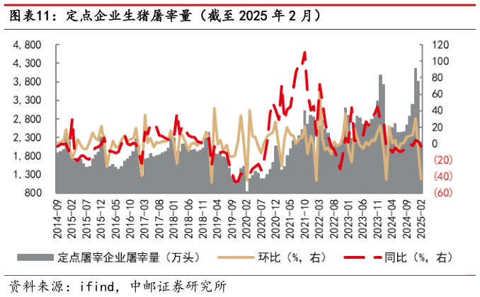 怎样理解定点企业生猪屠宰量(截至 2025 年 2 月)?