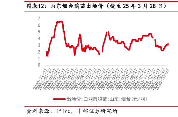 请问一下山东烟台鸡苗出场价(截至 25 年 3 月 28 日) 山东烟台毛鸡收购价(截至 25 年 3 月 28 日)?
