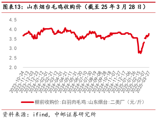 怎样理解山东烟台毛鸡收购价(截至 25 年 3 月 28 日)?