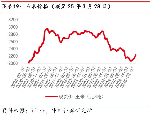 如何看待玉米价格(截至 25 年 3 月 28 日)?