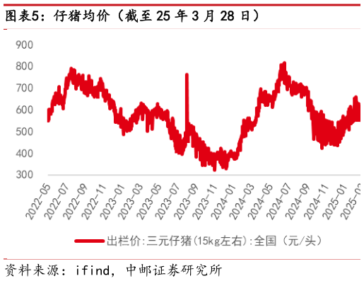 谁知道仔猪均价(截至 25 年 3 月 28 日)?