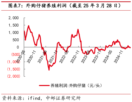 咨询下各位外购仔猪养殖利润(截至 25 年 3 月 28 日)?