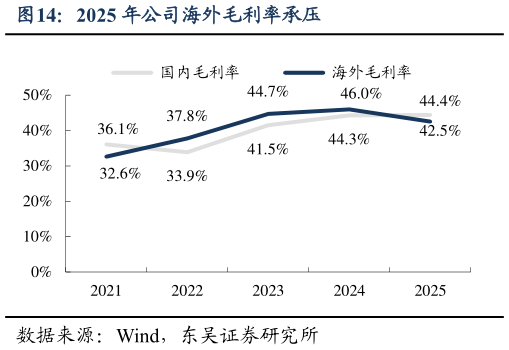 谁能回答2025 年公司海外毛利率承压