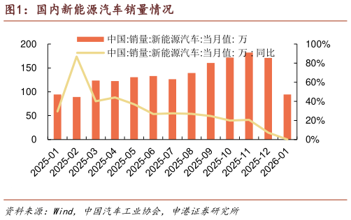 如何看待国内新能源汽车销量情况