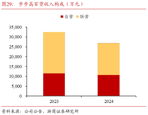 我想了解一下步步高百货收入构成（万元）
