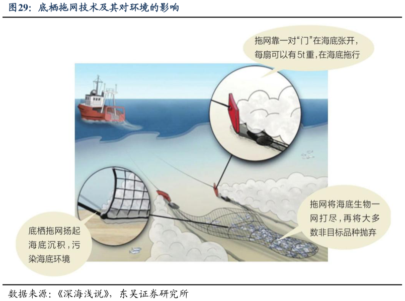 咨询下各位底栖拖网技术及其对环境的影响?