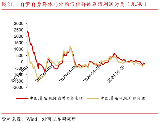 一起讨论下自繁自养群体与外购仔猪群体养殖利润为负（元头）