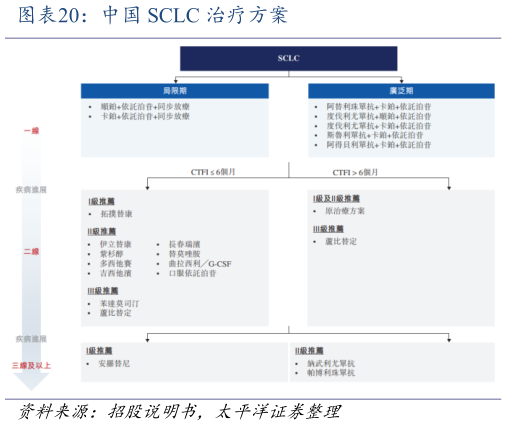 谁能回答中国 SCLC 治疗方案?