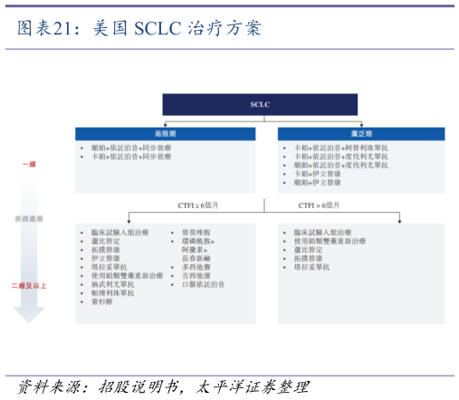 如何了解美国 SCLC 治疗方案