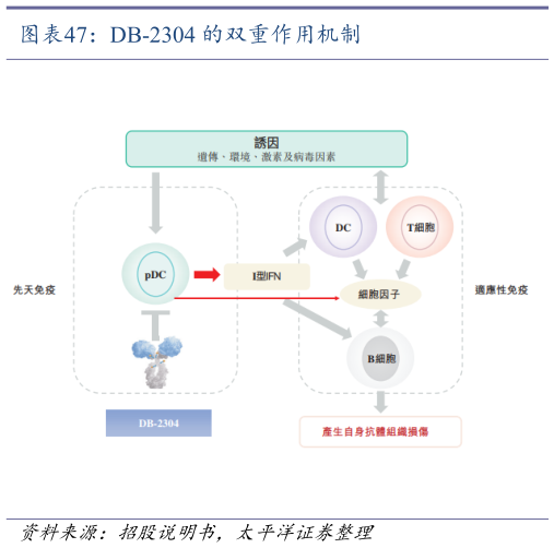 如何了解DB-2304 的双重作用机制?