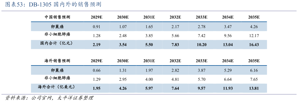 如何了解DB-1305 国内外的销售预测?