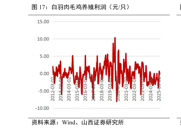 咨询下各位白羽肉毛鸡养殖利润（元只）