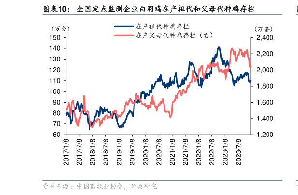 咨询下各位全国定点监测企业白羽鸡在产祖代和父母代种鸡存栏?