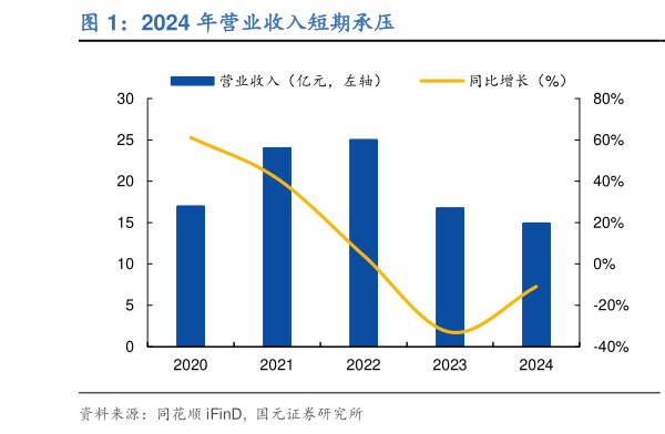 各位网友请教一下2024 年营业收入短期承压