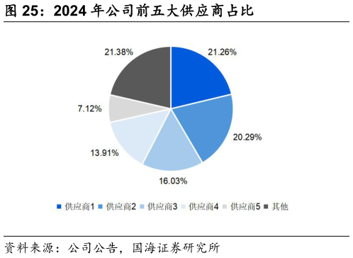 想关注一下2024 年公司前五大供应商占比?