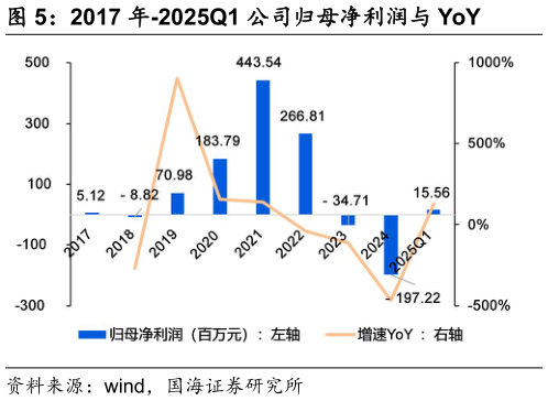 想问下各位网友2017 年-2025Q1 公司归母净利润与 YoY?