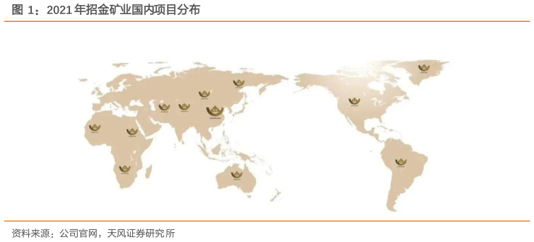 请问一下2021 年招金矿业国内项目分布