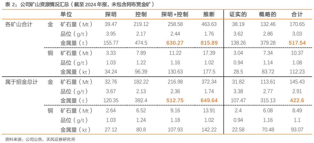 咨询大家公司矿山资源情况汇总（截至 2024 年报，未包含阿布贾金矿）