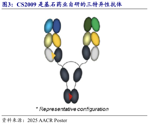 你知道CS2009 是基石药业自研的三特异性抗体