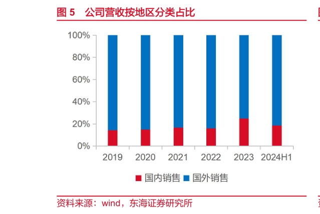如何看待公司营收按地区分类占比?