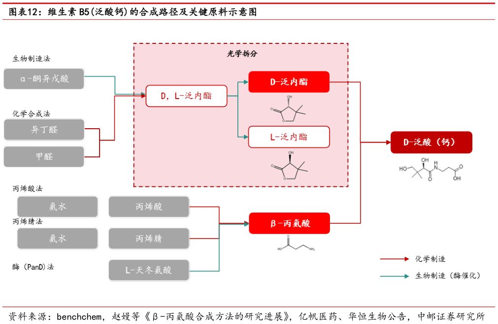 我想了解一下维生素 B5泛酸钙的合成路径及关键原料示意图?