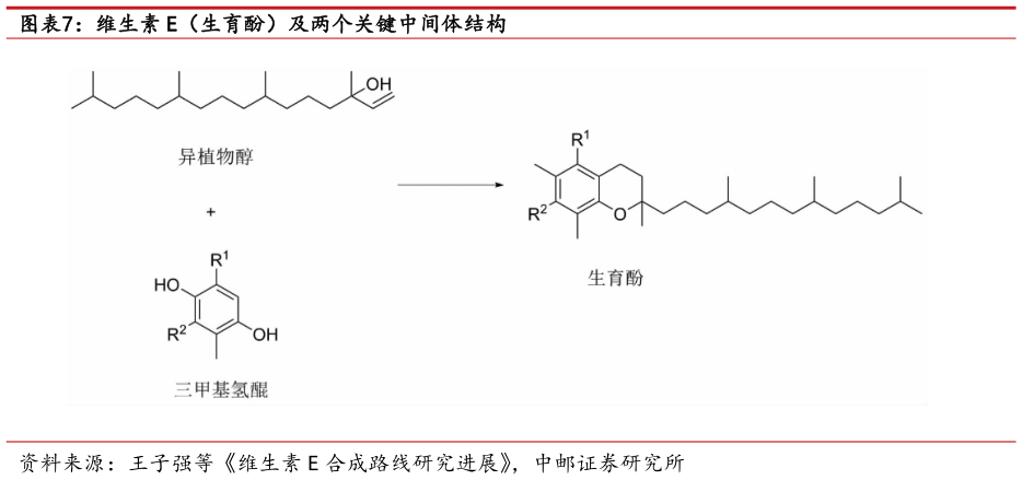 如何了解维生素 E（生育酚）及两个关键中间体结构?