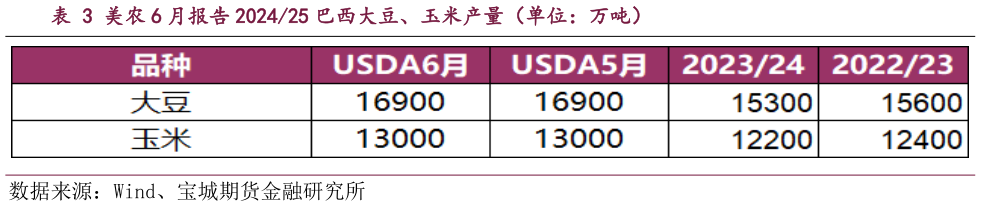 谁能回答美农 6 月报告 202425 巴西大豆、玉米产量（单位：万吨）?