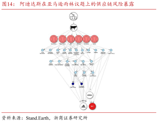 如何了解阿迪达斯在亚马逊雨林议题上的供应链风险暴露