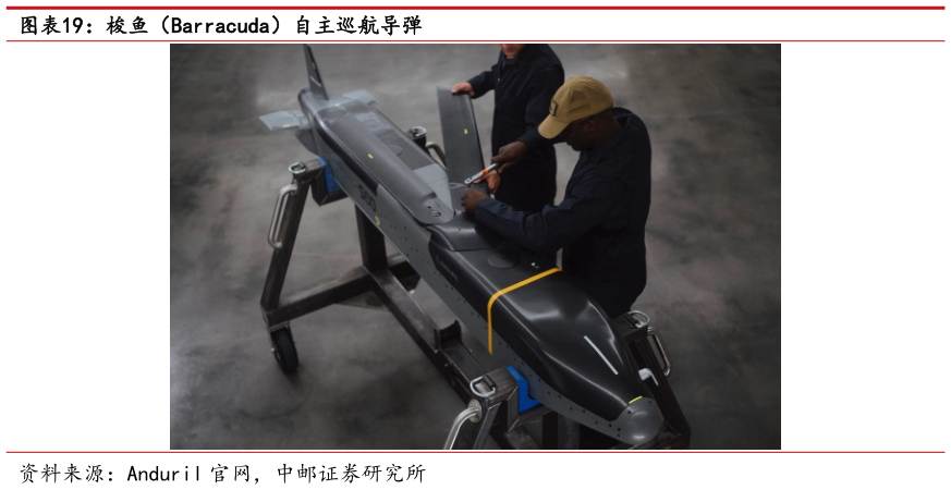 如何解释梭鱼（Barracuda）自主巡航导弹