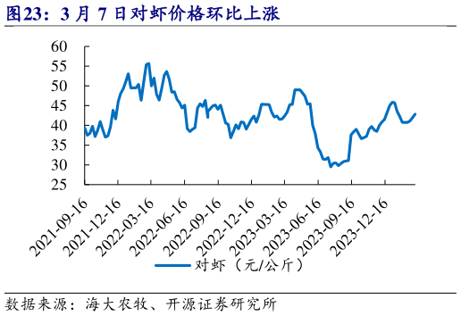 如何看待3 月 7 日对虾价格环比上涨?
