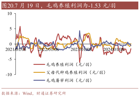 如何解释.7 月 19 日,毛鸡养殖利润为-1.53 元羽?