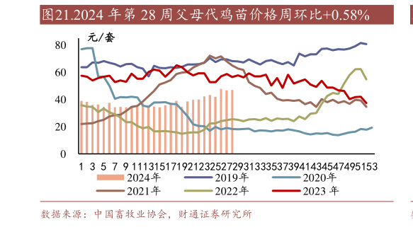 谁知道.2024 年第 28 周父母代鸡苗价格周环比0.58%?
