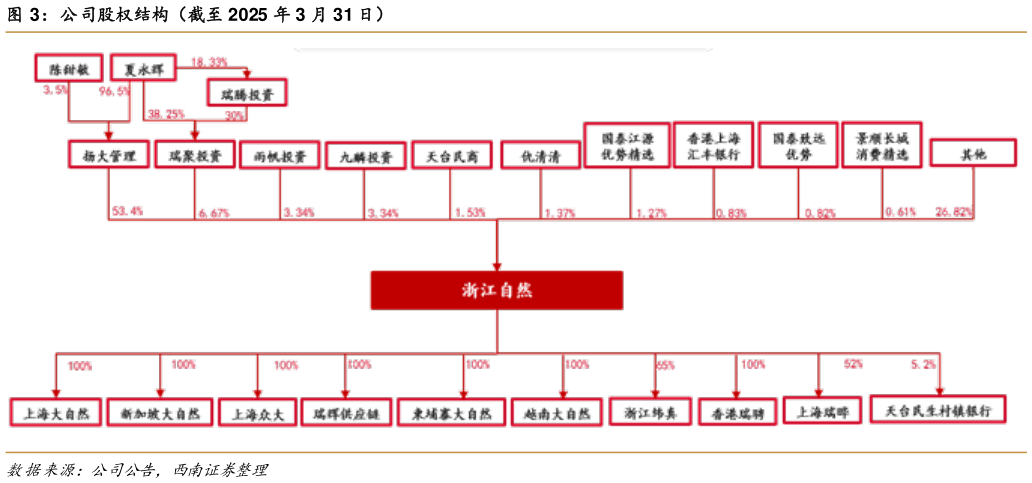 怎样理解公司股权结构（截至 2025 年 3 月 31 日）