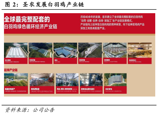怎样理解圣农发展白羽鸡产业链